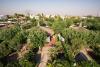 Appartamenti Bungalow con giardino a Manfredonia