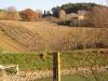 Panorama paesaggio umbro a Montone