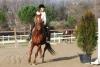 Agriturismi con maneggio in Umbria