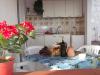 Bungalow con Angolo Cottura Villaggio Turistico Palinuro