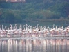 Natural Park of Maremma