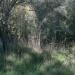 A Heart  by Evi Karagiannidi ?>