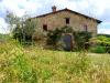 Rural home with cured garden