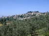 Vista panoramica di Spello