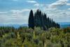 Casa Vacanze a pochi km da Siena