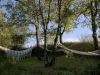 relax tra gli alberi in agriturismo con appartamen