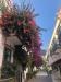 Cannabis Social Club Vicino Mogan Gran Canaria