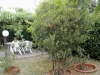 giardino curato
