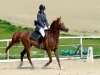 Equitazione Cavalcare in Umbria Mostra Itinerante