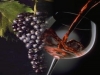 Vino Novello: ottimo abbinamento con castagne