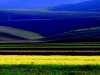 Fioritura Castelluccio, mix di colori