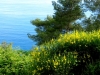 vacanze a portofino