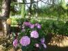 Giardino Attrezzato in Hotel Chiascio