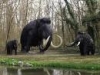 parco con animali preistorici
