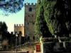 Edizione 14, Calice di stelle a Conigliano