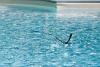 Agriturismo con piscina nei pressi di Terni