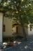 Appartamento Montebianchi