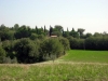 Casale nel verde