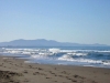mare della maremma