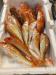 Pesce fresco ristorante resort Porto-cesareo