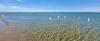 Villaggio turistico vicino mare Castellaneta-marina Puglia