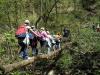 Holidays and Schooltrips to the italian regionalpark