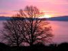 Riserva naturale del Lago di Vico in Tuscia