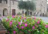 dove dormire vicino al film festival di Montone