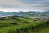 Valtidone Wine Fest