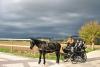ilmaneggiodiassisi-umbria-passeggiateacavallo-scuoladiequitazione