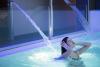 SPA in grand hotel con piscina coperta Manfredonia