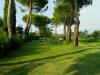 B&B-Agriturismo in Toscana con Piscina-Asciano