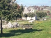Trulli immersi tra gli olivi in Puglia