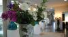 atrio d'ingresso hotel 4 stelle Ravenna villa 