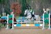 Vacanze equestri in Umbria