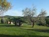 Agriturismo nella campagna Toscana 