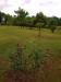 Giardino con Vista Panoramica ad Assisi