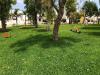 Area Verde per gioco Bambini: La Brunese