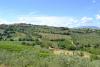 Viale ideale per passeggiate all'aperto