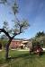 Agriturismo Umbria con piscina il Laghetto