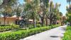 Hotel 4**** con ingresso alberato a Diamante