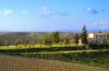 Agriturismi, B&B, e Centri Benessere al Parco