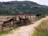 Country House Canalicchio con Maneggio in Umbria