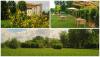 Lastminute camera e colazione San Gimignano 