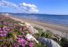 Il Parco della Sterpaia, mare di Follonica