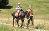 Escursioni a cavallo in Umbria