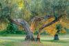 In Umbria Appartamenti-Vacanza con Campo da Tennis
