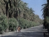 hotel vicino san benedetto del tronto