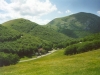 Il verde