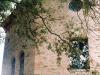 Antico casolare a Umbertide per famiglie